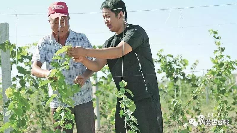 74岁老夫妻脱贫后生活,80后自力更生的小夫妻