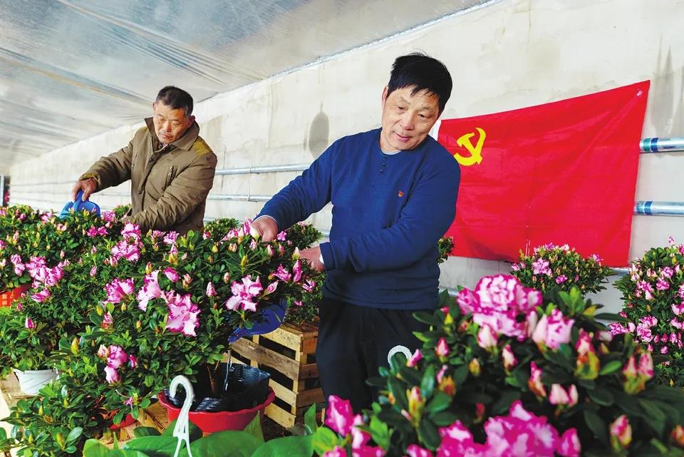 六联融通打造城市党建新格局,融合党建激发基层社会治理新动能