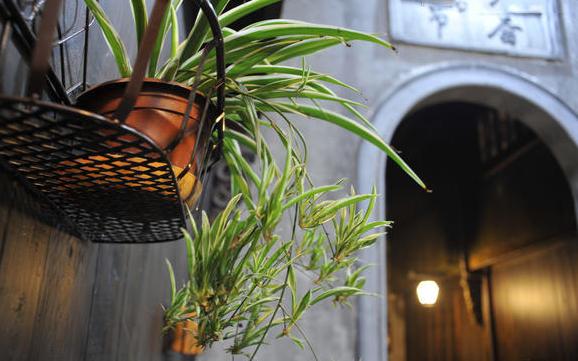 阳台窗台盆栽,阳台矮窗台处理最佳方法