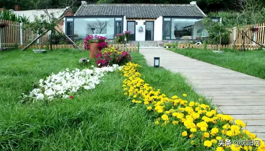 沈阳附近民宿小院,沈阳农村民宿独门独院价格