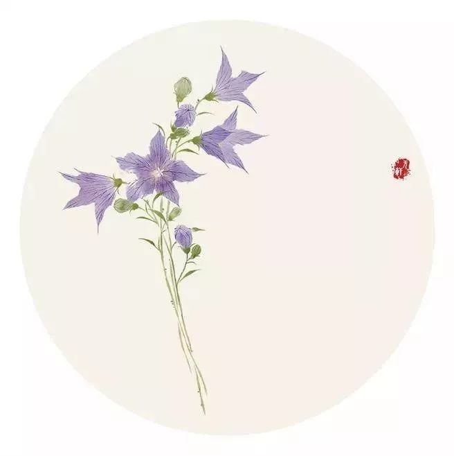 你的名字藏着最美诗句,你的名字里藏着最美的诗词