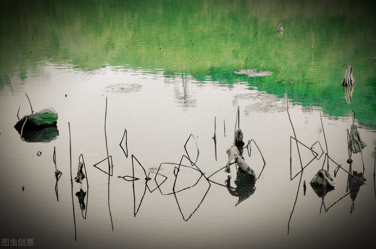 感悟大自然作文450字,感悟大自然作文500字