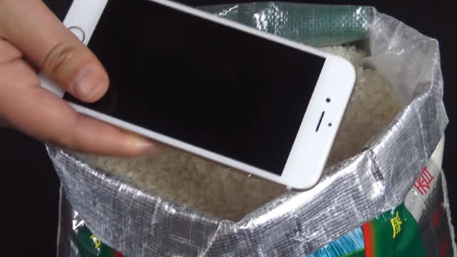 如果手机一不小心掉水里怎么办,小妙招手机掉水里了正确处理方法