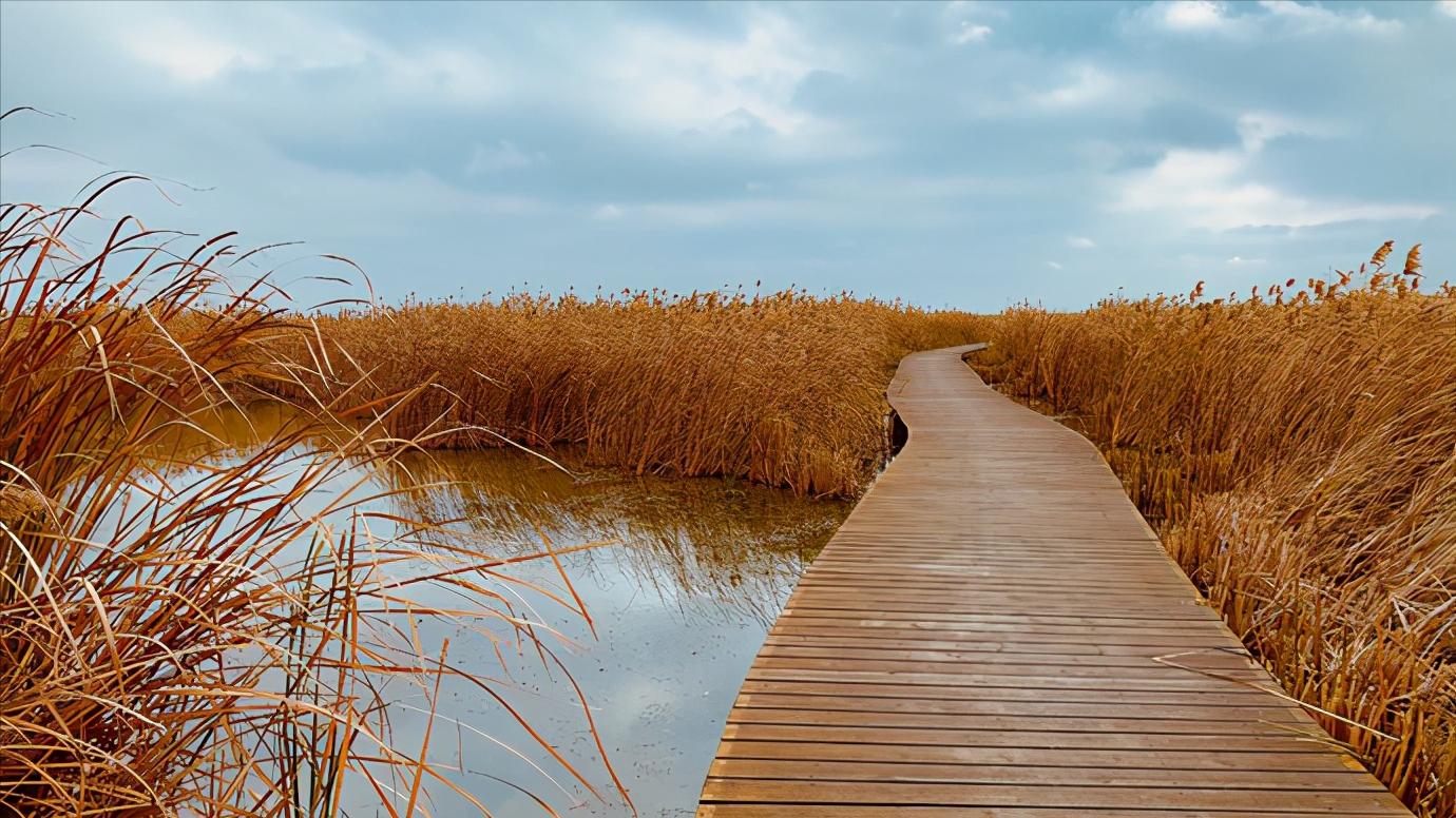 江苏省盐城市有哪些县和区,浅谈全国各省份