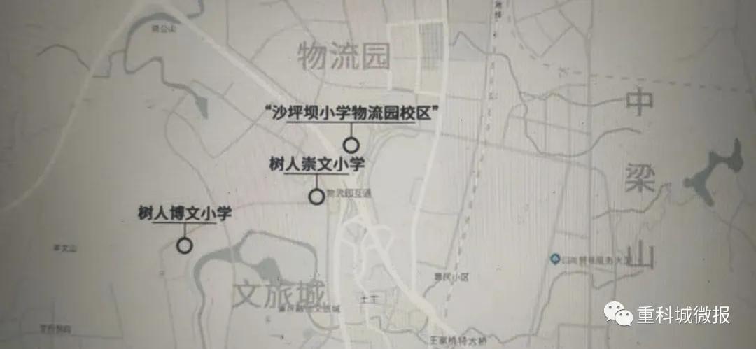 南开中学、南渝中学、树人小学、沙坪坝小学……这些名校扎堆了