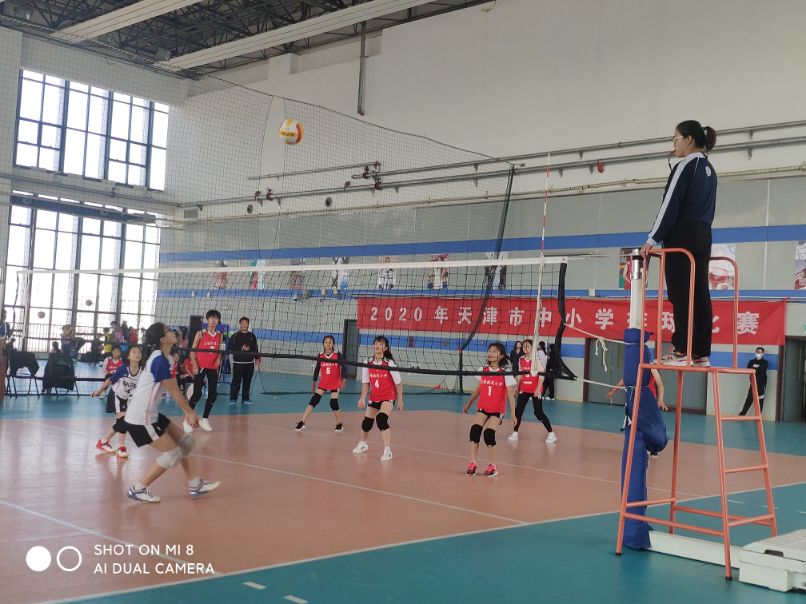 天津市大中小学春季接力赛,天津市中小学冠军赛