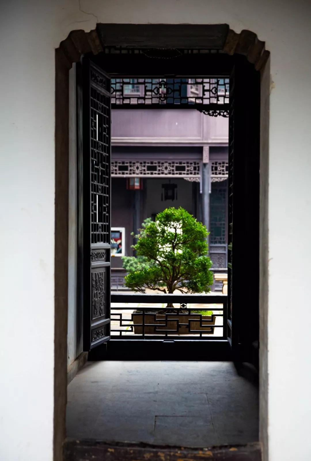 南京腊梅最佳观赏时间,南京赏梅花景点推荐