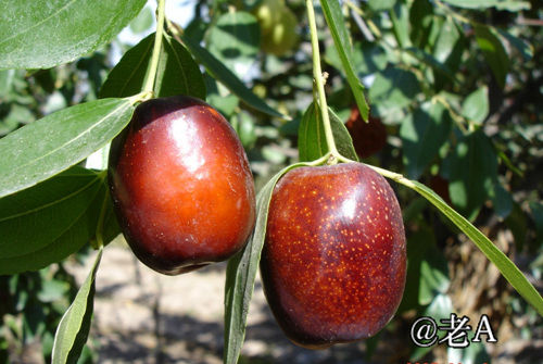 朋友们来张掖吧原视频,朋友来张掖吧