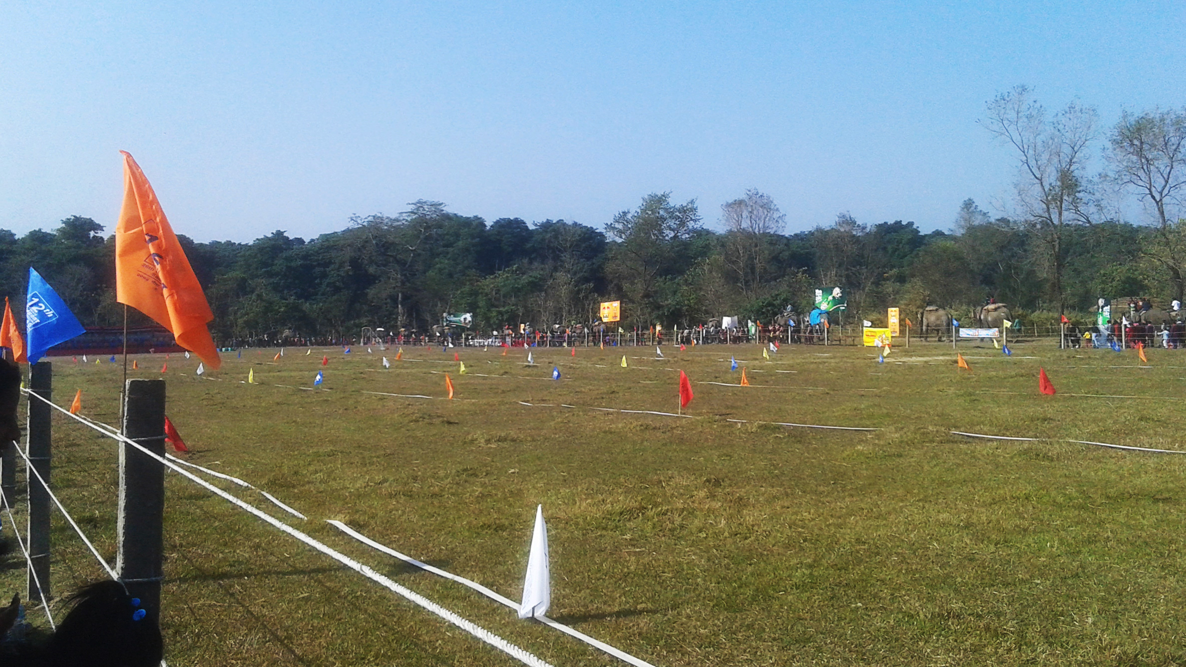 大象足球大赛,大象足球赛