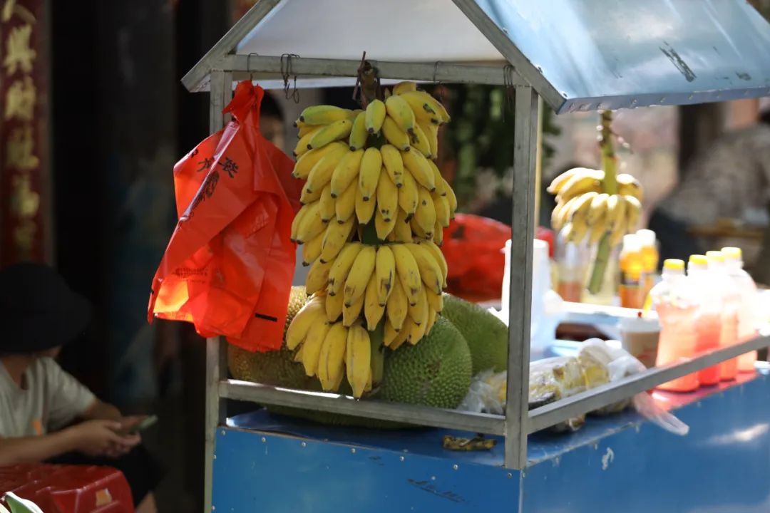 昌江梨花里视频完整版 (昌江王下乡黎花里自驾游攻略)