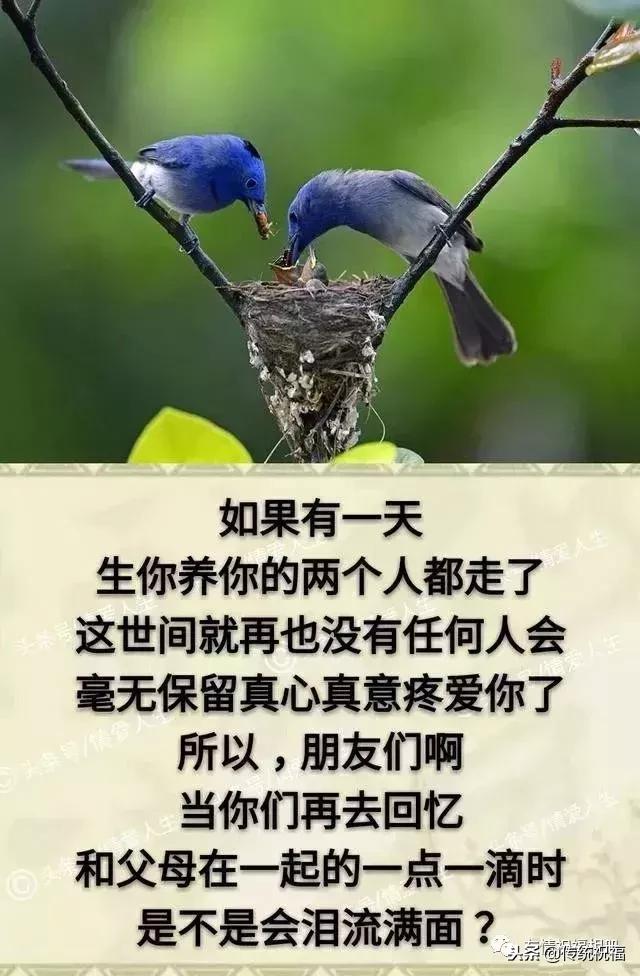 我的家庭相册怎么弄,我的家庭相册全集