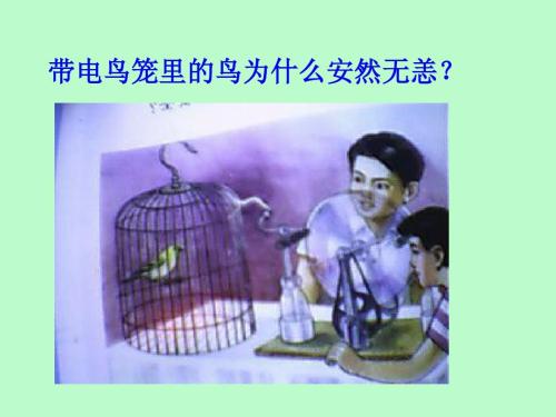 静电屏蔽实验现象及原理,法拉第笼能否屏蔽核辐射