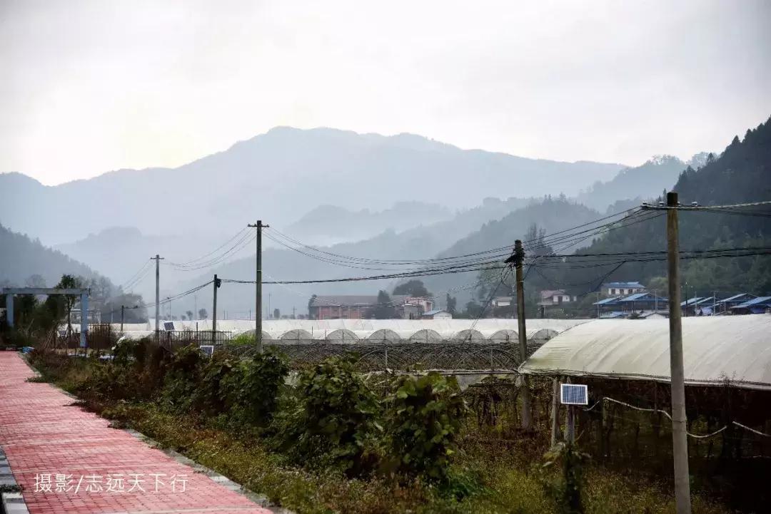 悠然三明：梅列瑞云山为佛，葡萄美酒配熏鸭