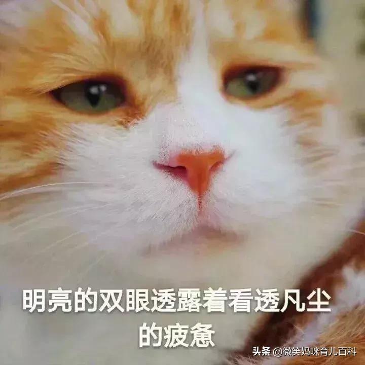 *光脱**光、插尿管、还要剃……生孩子的9件尴尬事，谁生谁知道