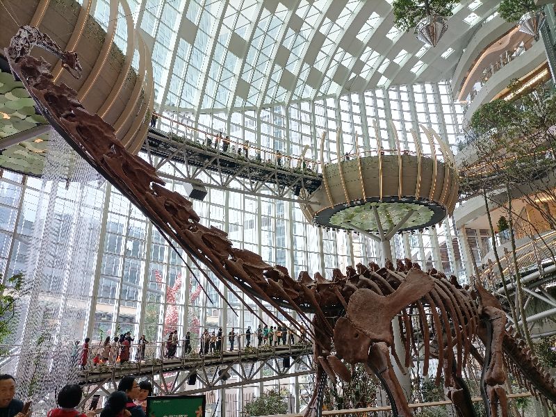 光环购物公园与新加坡樟宜机场,重庆观光购物公园