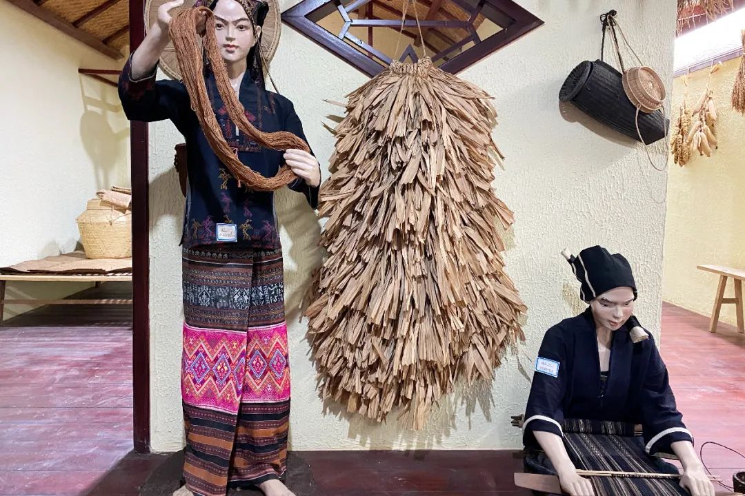 西海岸最值得去的地方,海南西海岸旅游景点攻略