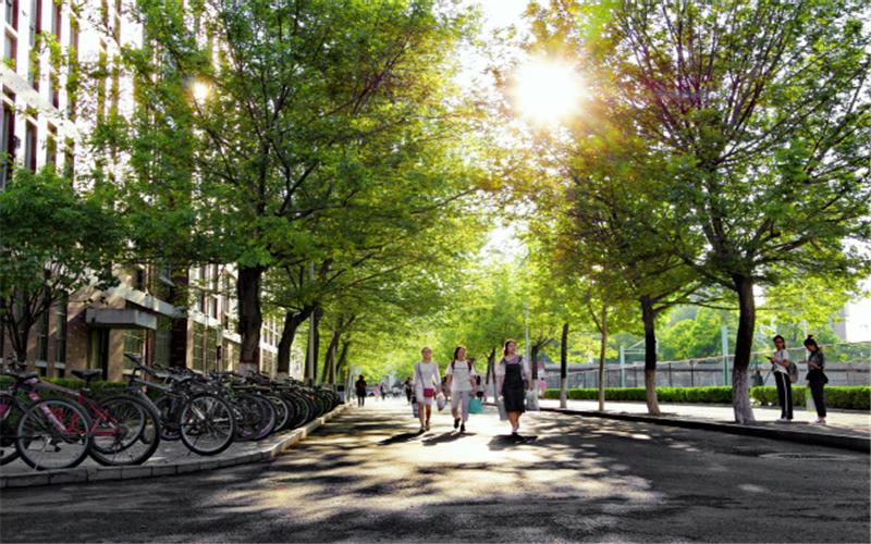 河南民办高校（本科）大起底：野花儿香，能采不？