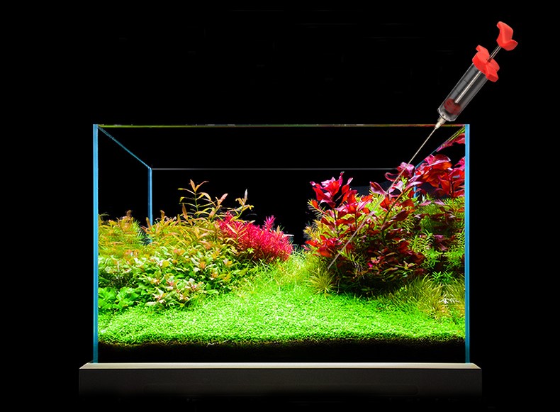 鱼缸除藻最有效的方法,鱼缸除藻最佳方法