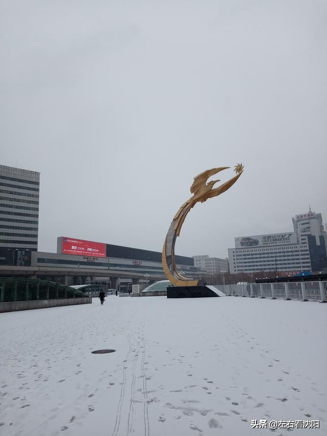 左右看沈阳之沈阳人的图腾太阳鸟