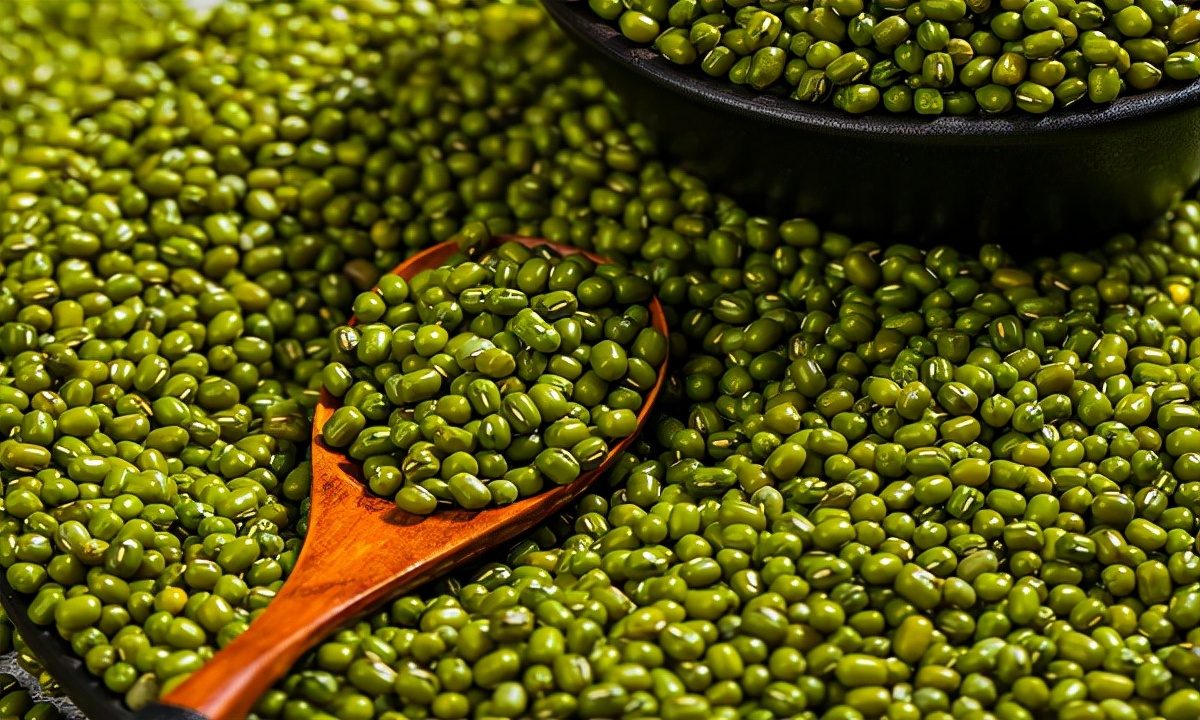 山西朔州名片,朔州标志