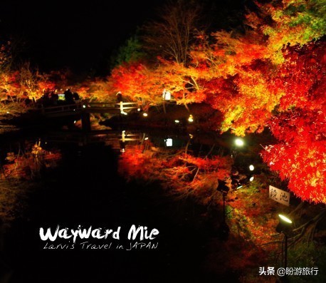 关西白滨自由行攻略,日本自由行攻略大阪温泉