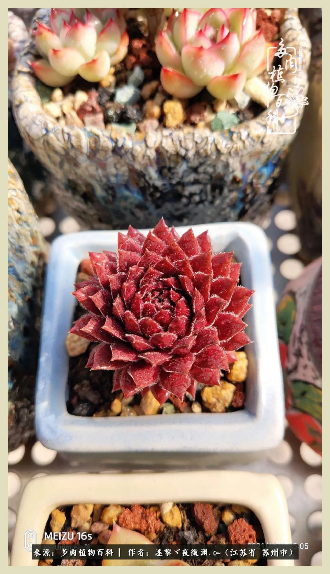 秋尽冬来岁月不居时节如流,岁月不居时节如流水