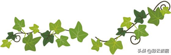 小住旅居,旅居西双版纳是怎样一种体验