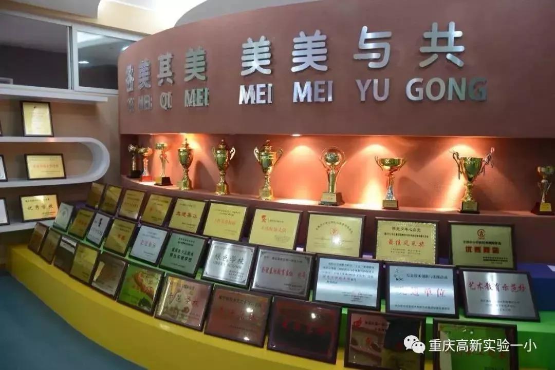 重庆5朵金花小学名字及地址,重庆公认最好的五个小学