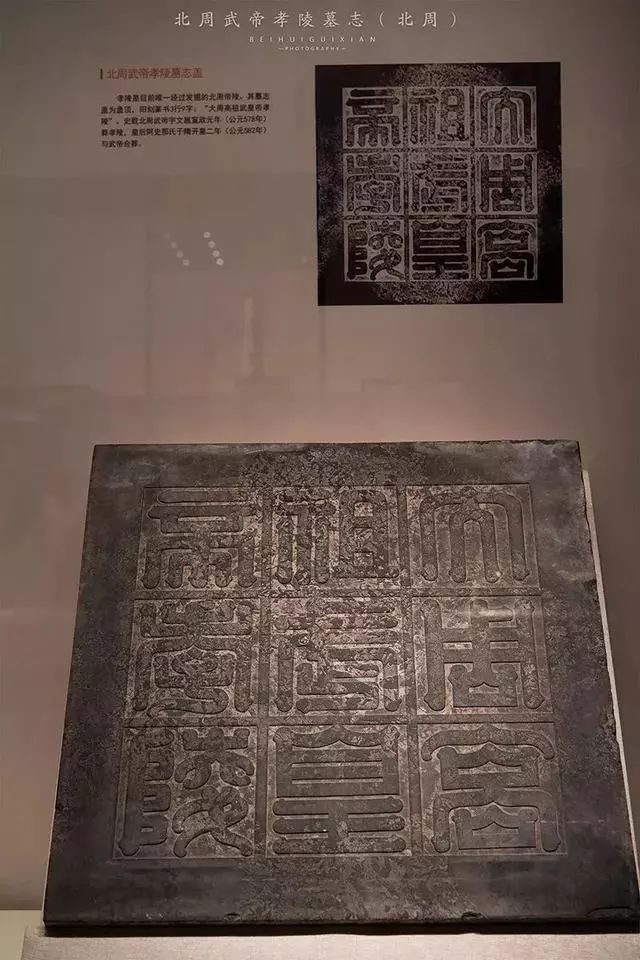 陕西历史博物馆主题文物,五千年历史尽在陕西历史博物馆