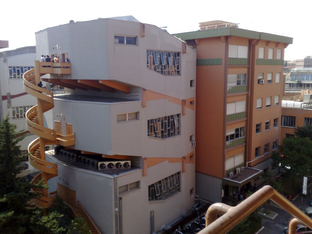 拥有700多年校史的罗马大学，是所怎样的大学？