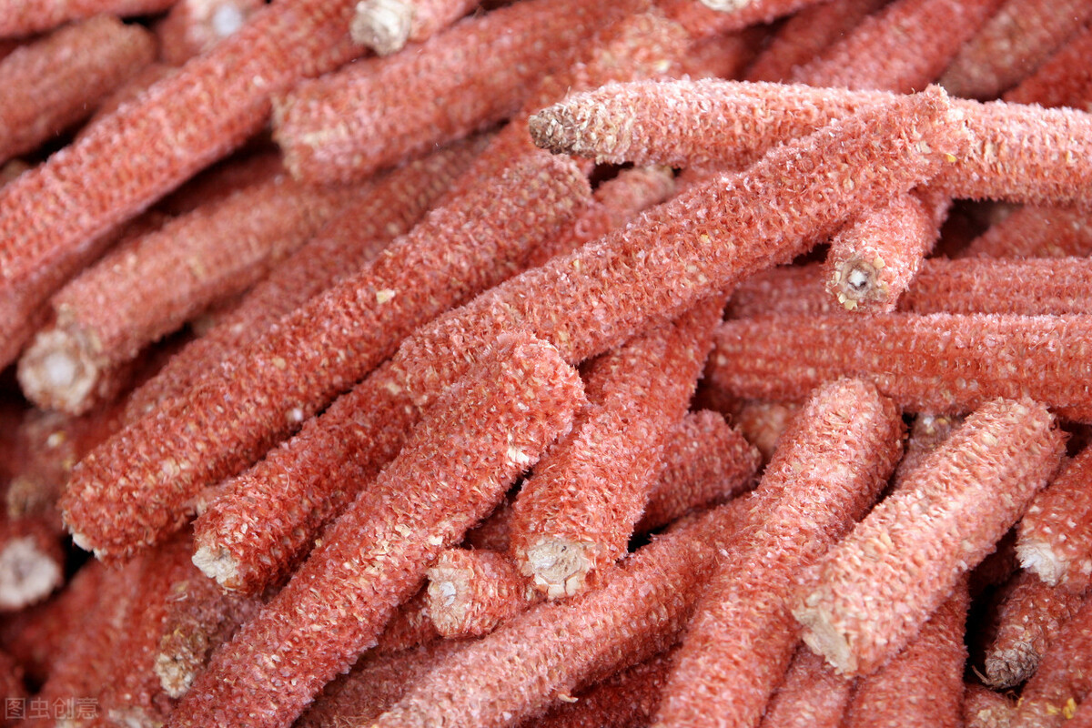 乡村振兴下的农村创业前景分析,乡村振兴山区农业出路在哪里