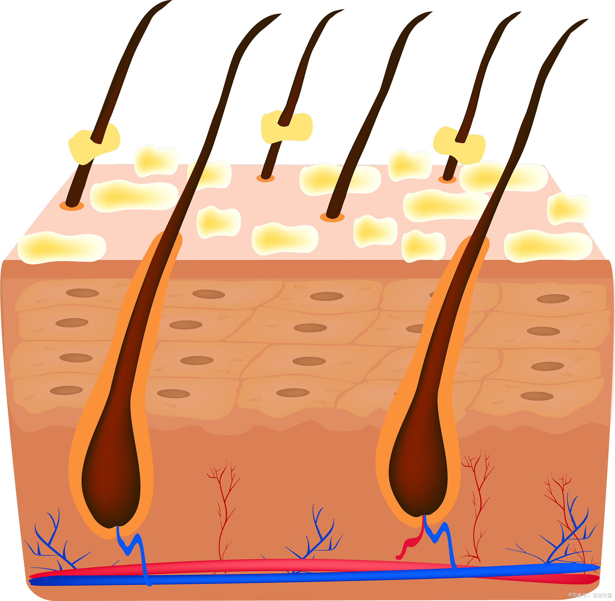 男生护肤套装哪个品牌好,护肤品套装经济实惠值得推荐呢