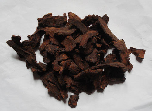 草本锁阳中草药图片,锁阳草的十大功效