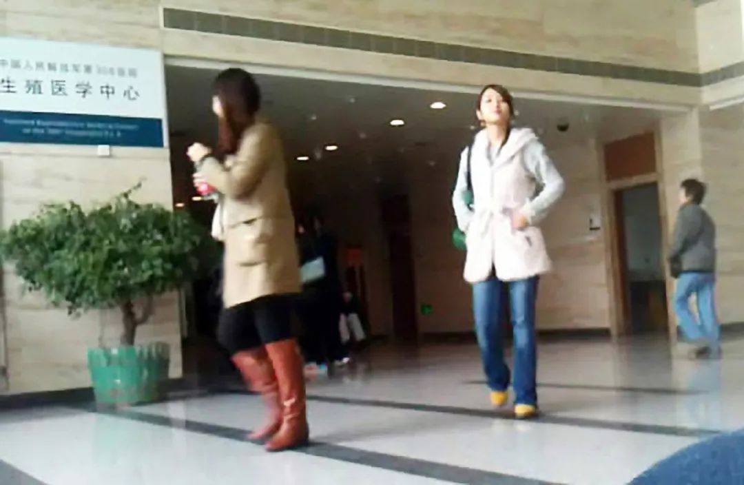 卖卵*市黑**调查：十天赚五万，也可能搭上性命