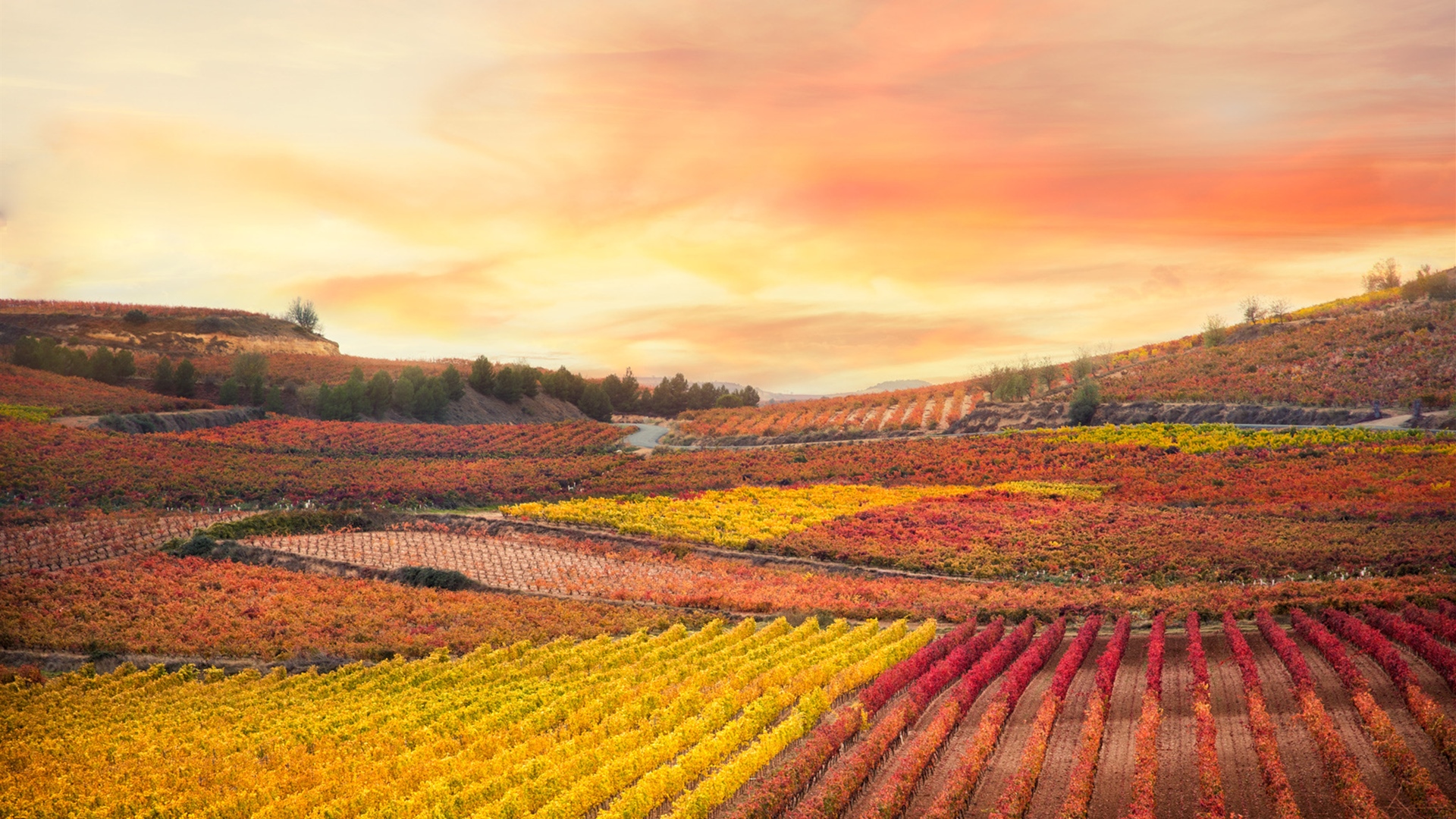1920x1080超高电脑壁纸风景,1920x1080超清电脑壁纸风景