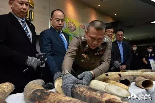 泰国打击象牙交易见成效，被CITES移出严重国家名单