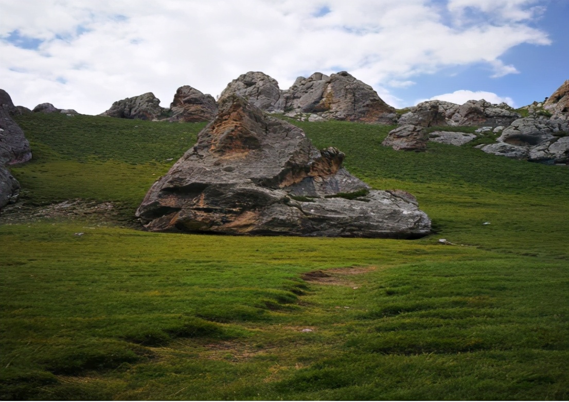净土天峻,净土天峻高原牧场图片