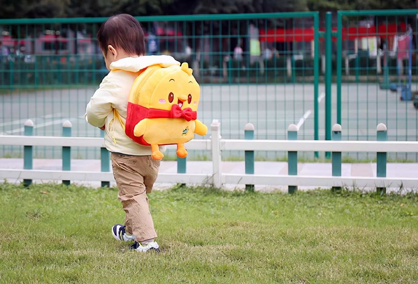 孩子六岁前不记事，娃“失忆”的背后，藏着大脑发育的秘密