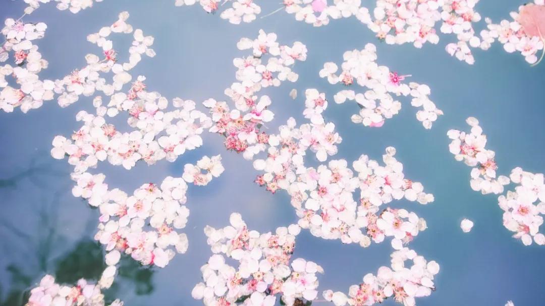 最动听最伤感经典十句诗词,十大催泪诗词赏析