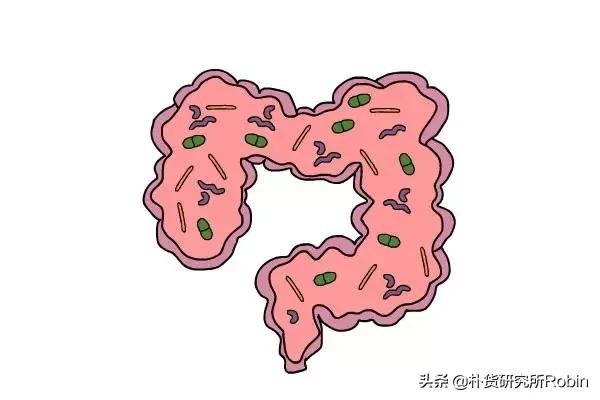 益生菌害了多少小孩,关于益生菌你应该知道的10个真相
