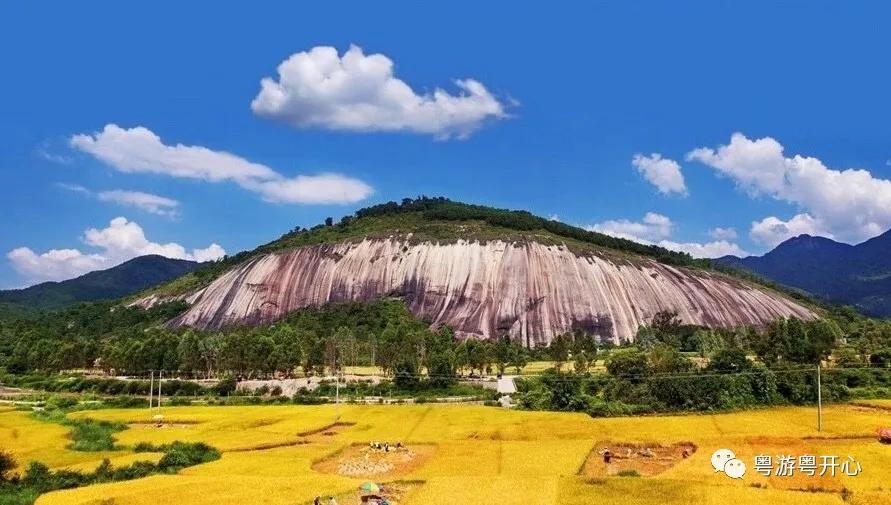 肇庆第一大斑石头,最大的石头有几寸