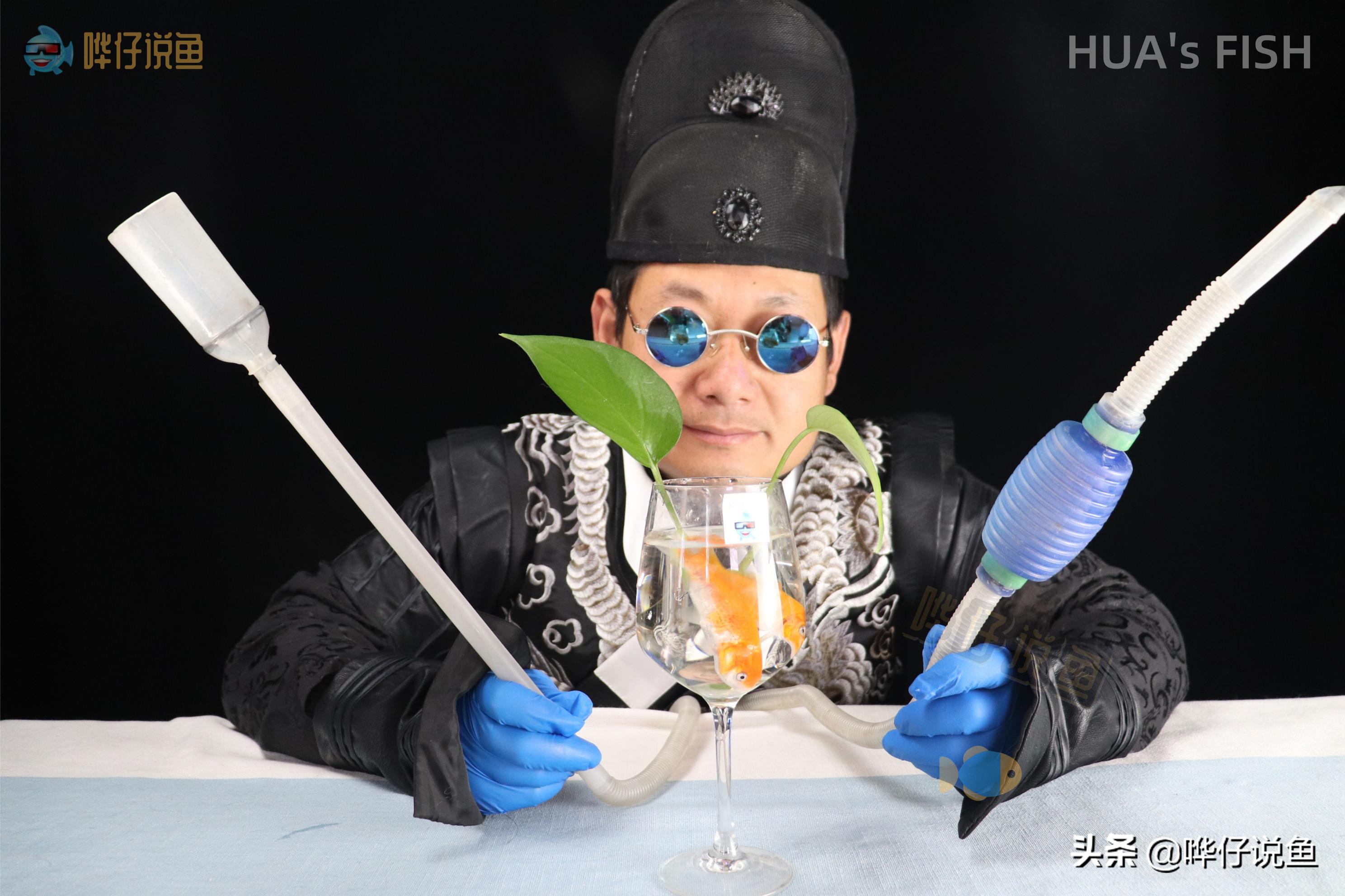 给鱼缸里的鱼换水正确步骤,热带观赏鱼鱼缸换水正确方法