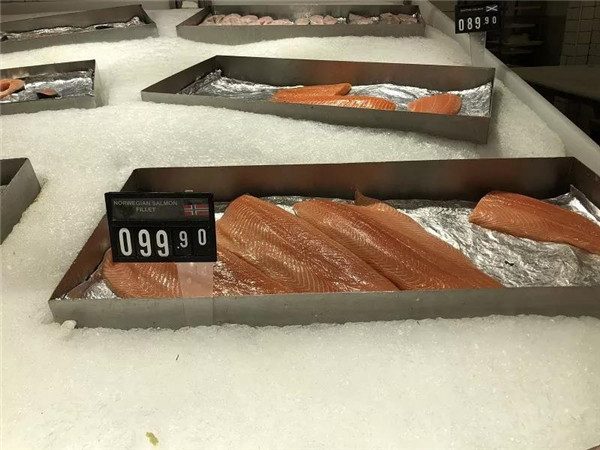 在迪拜生活到底贵不贵,迪拜打车贵不贵