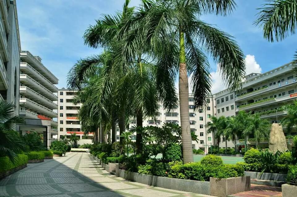 深德技工学校,深圳深德技工学校招生费用