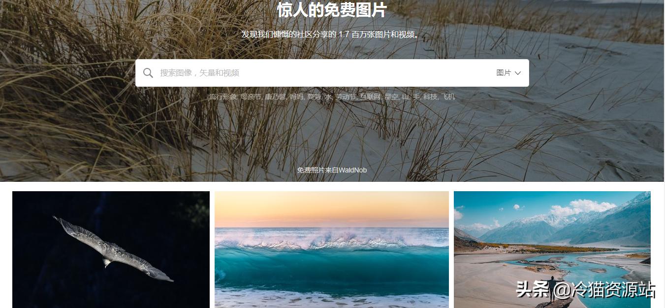 最良心资源推荐,建议收藏的资源