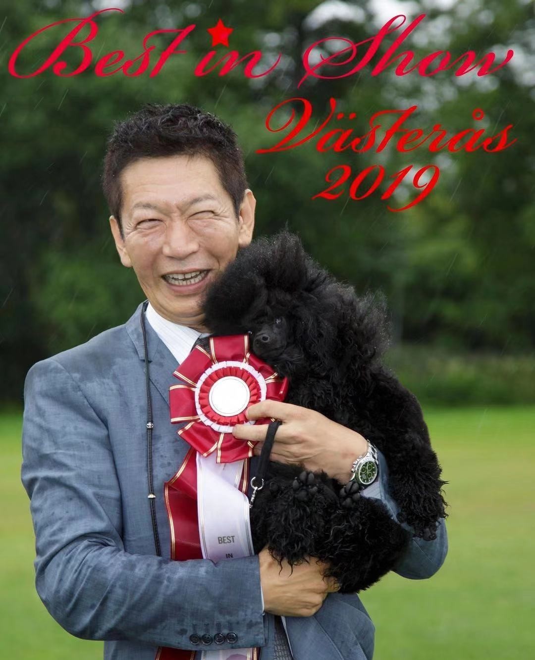 建议收藏|长城世界宠物美容大会（CGGC）全攻略