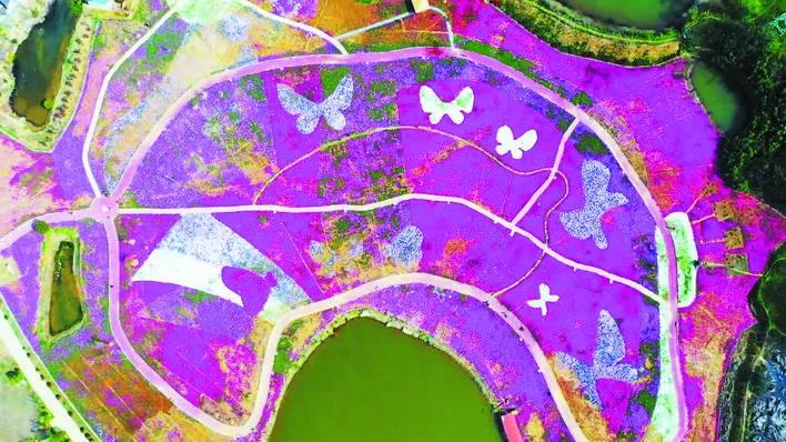 合肥最宜居小区,合肥最宜居的板块