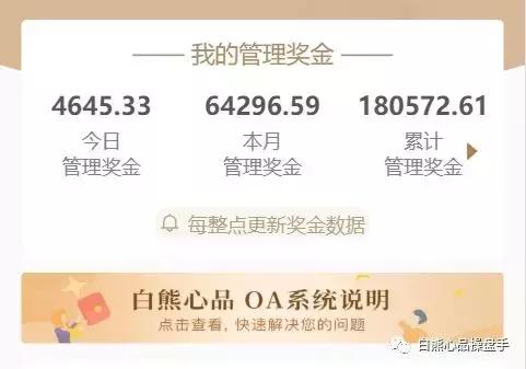 白熊心品和未来集市哪个好,白熊心品发展愿景使命