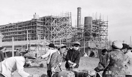 上榜啦！*疆新**鸟市和石市即将被国家命名！未来发展不可估量