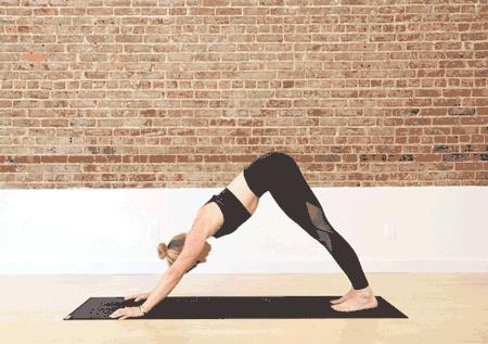 初学者怎么练下犬式,如何练习下犬式